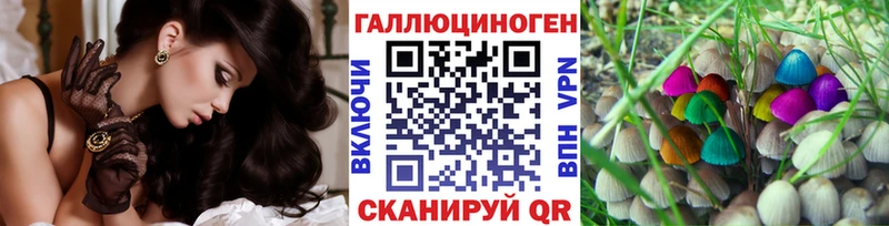 Псилоцибиновые грибы GOLDEN TEACHER Купить закладки Корсаков